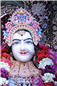 Abhishek (181).jpg